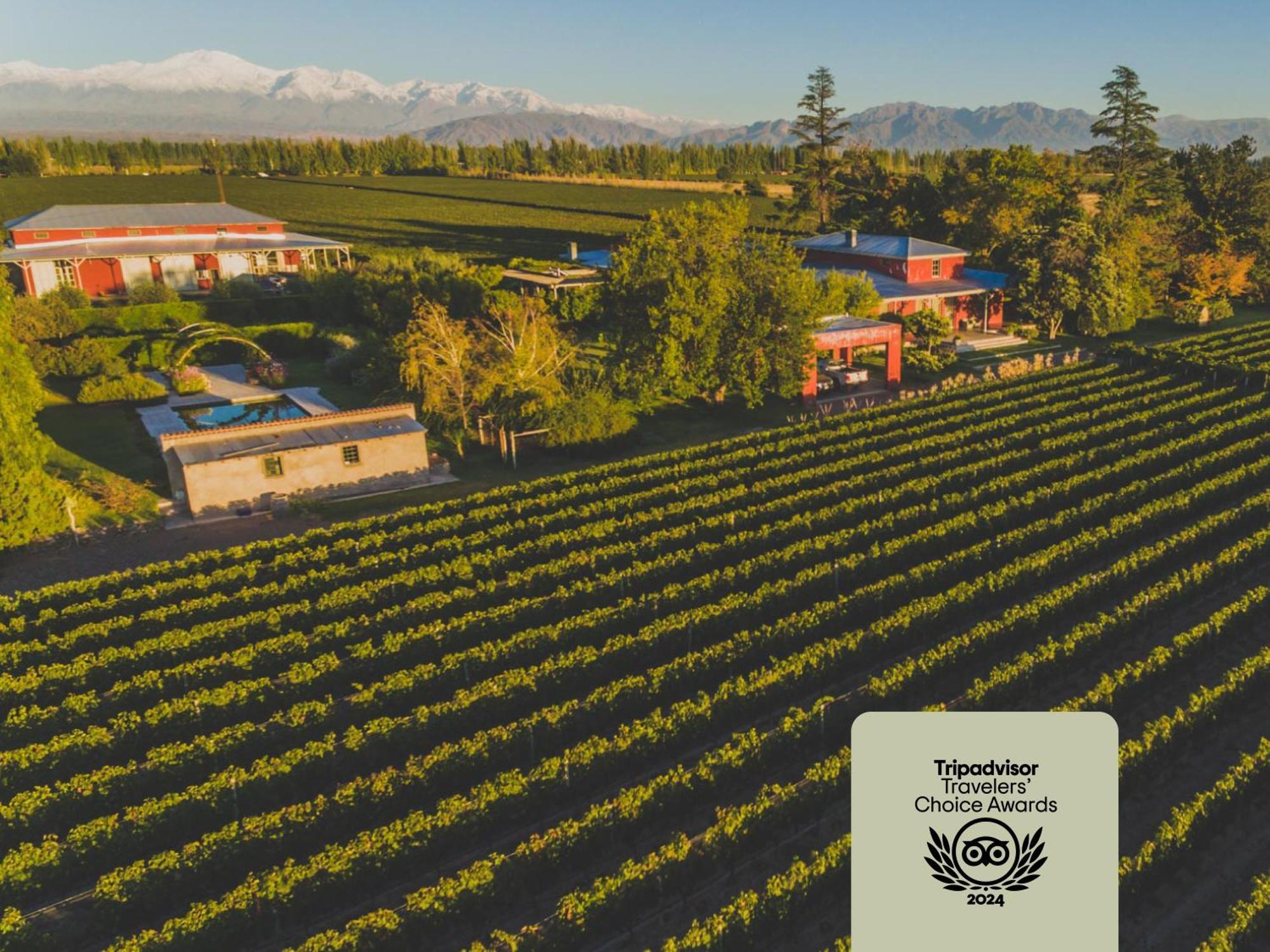 Enlace Wine House Lujan de Cuyo Ngoại thất bức ảnh