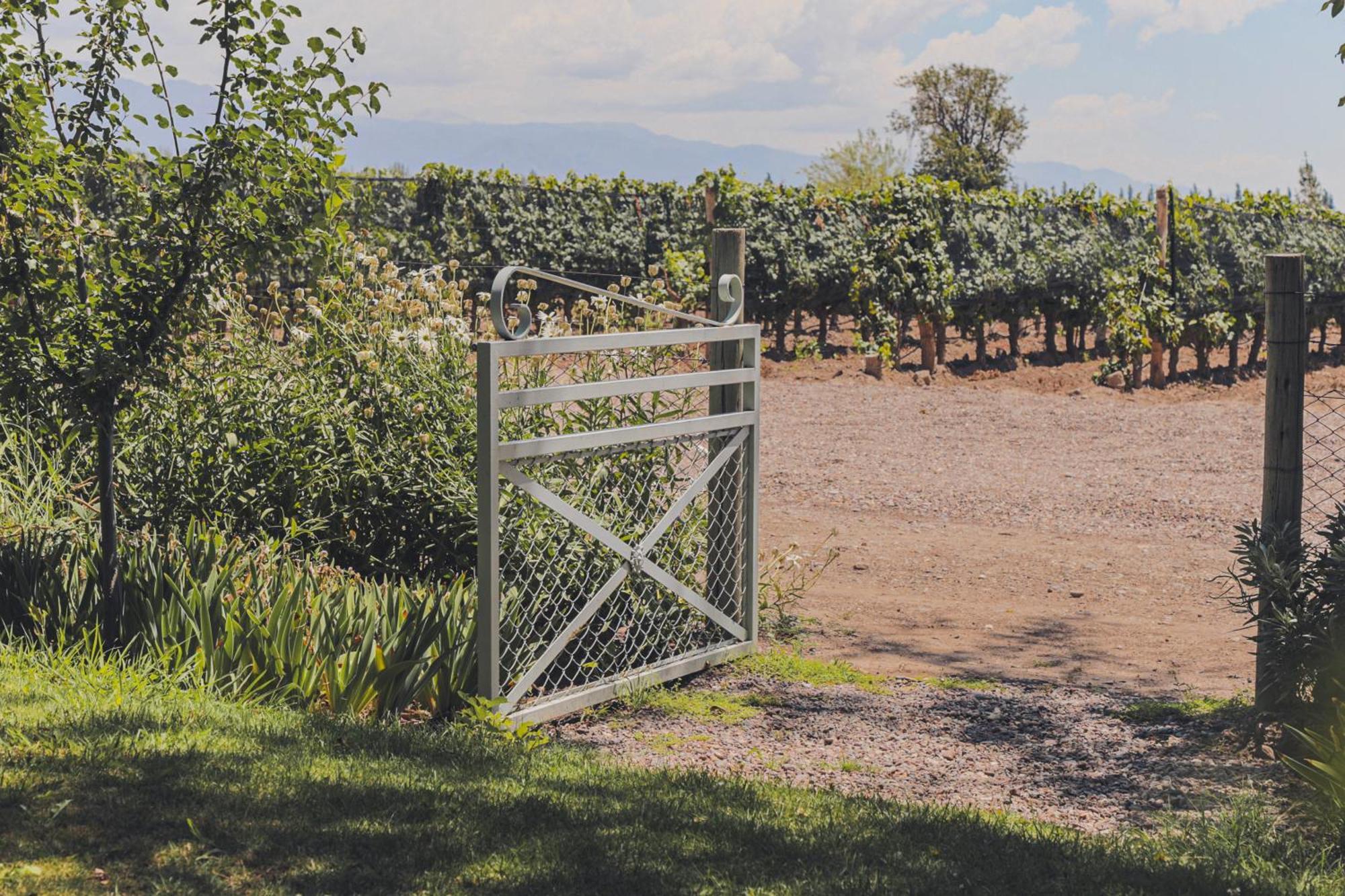 Enlace Wine House Lujan de Cuyo Ngoại thất bức ảnh